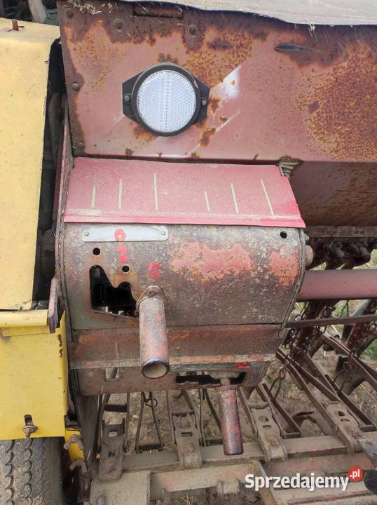 siewnik poznaniak wielkopolskie