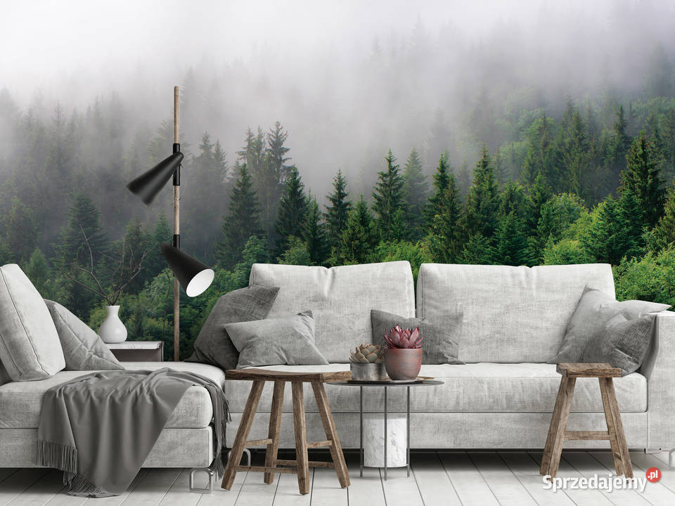 Tapeta fototapeta Las we mgle Las 13907 wielkopolskie Leszno
