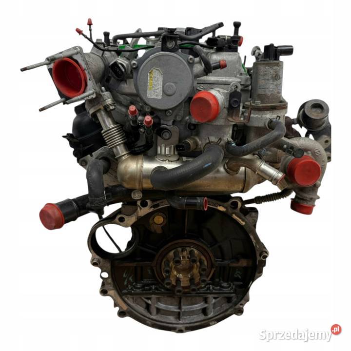 SILNIK D3FA Hyundai i10 i20 Kia Rio III Picanto Chełm