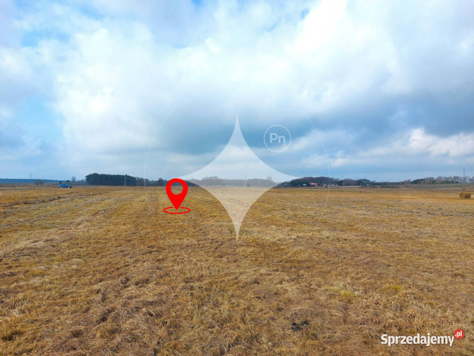 Łąka Horbów Kolonia gm Zalesie pow bialski 41m Horbów-Kolonia