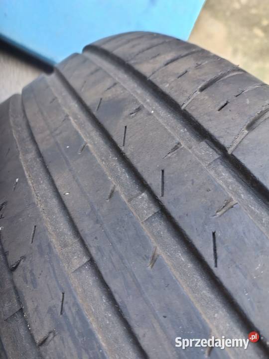 Opony Premitra 5 Maxxis 2155517 lato Sokołów Małopolski