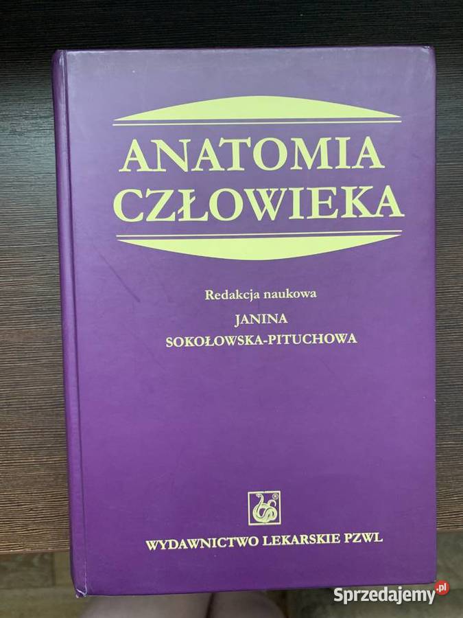 Anatomia Człowieka Janina SokołowskaPituchowa Podręczniki świętokrzyskie sprzedam
