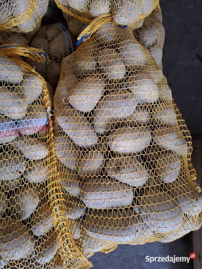 Ziemniaki soraya Pozostałe Wieluń