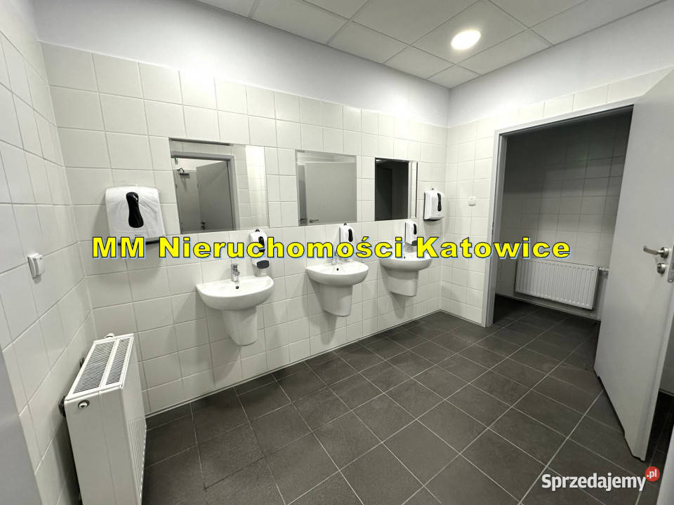Hale do wynajęcia do 13000 m2 różne powierzchnie Wynajem Ruda Śląska