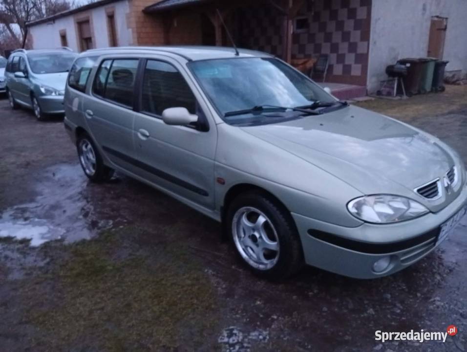 Sprzedam Renault Megane Rok produkcji 2002 Megane Jarocin