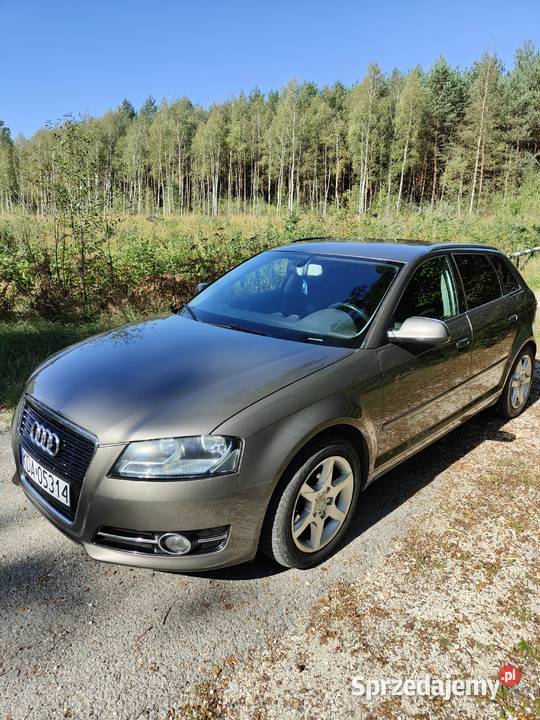 Audi A3 8P TDI 2012r bez wkładu potwierdzony Szczucin