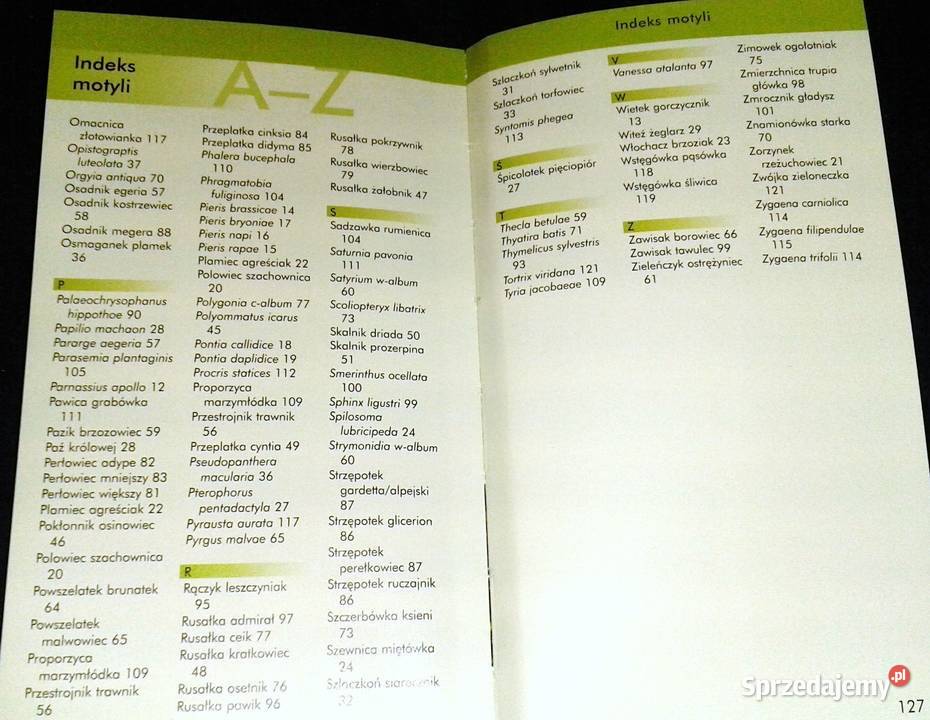 Motyle łatwe rozpoznawanie Atlas red Robert lubelskie Chełm sprzedam
