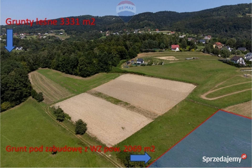 Grunty 5 400 m widok las i działka z WZ Sprzedaż Młynne
