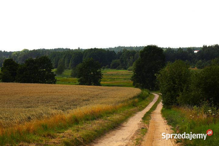 Grunt do sprzedania Stara Kiszewa 1129m2