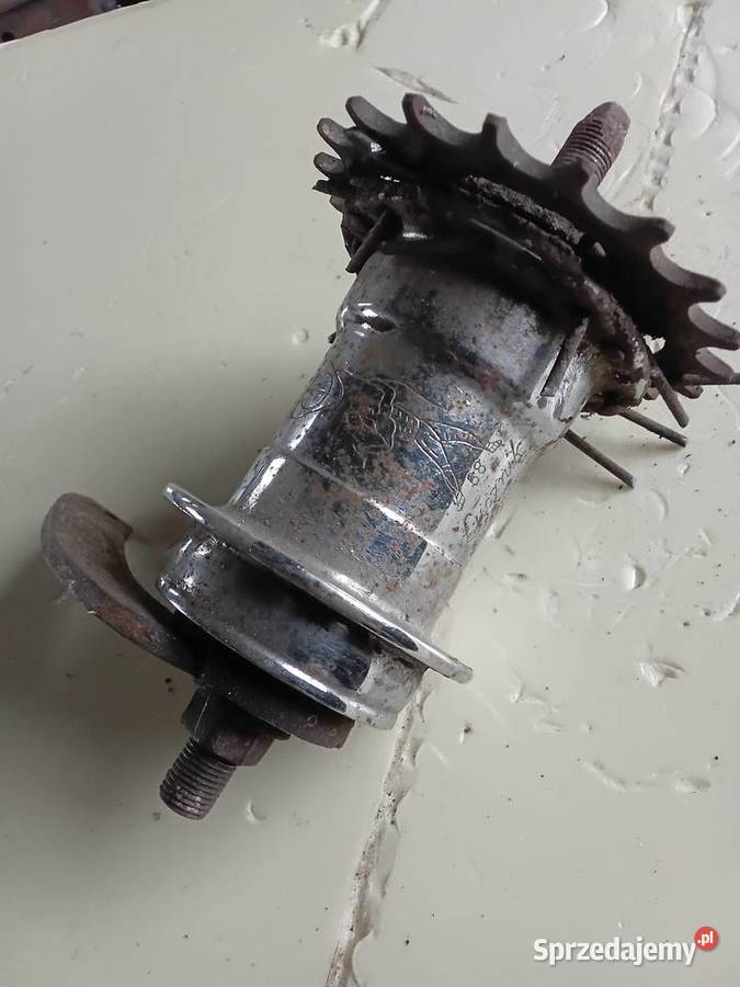 Piasta Łucznik Milejewo