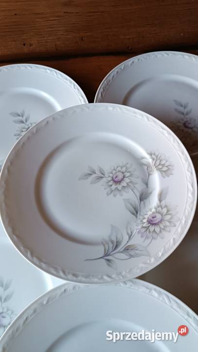 Zestaw porcelanowych talerzy obiadowych 7 Paul Goleniów