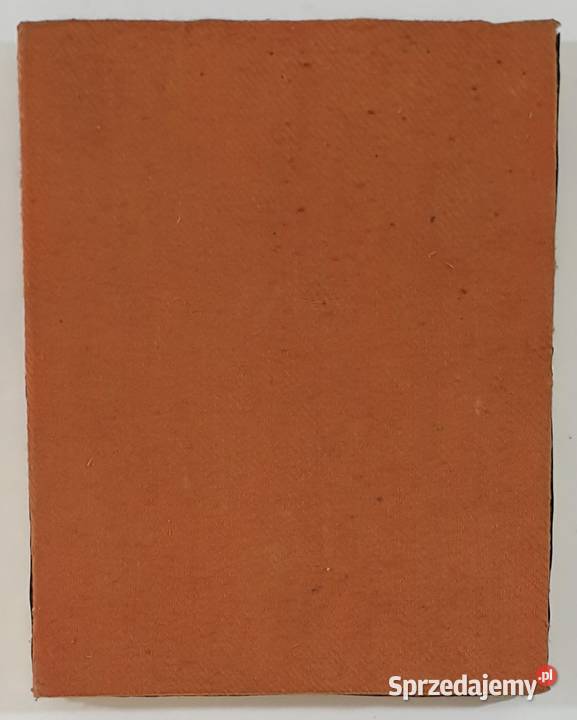 Ikona Jezus Chrystus Pantokrator 0352 mazowieckie Warszawa