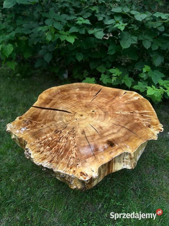 Stolik kawowy z czeczoty topoli 105 unikat