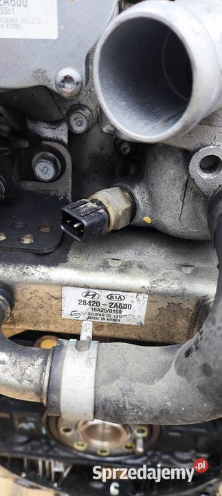 Silnik na części 16 crdi 136 Euro 6 sprzedam