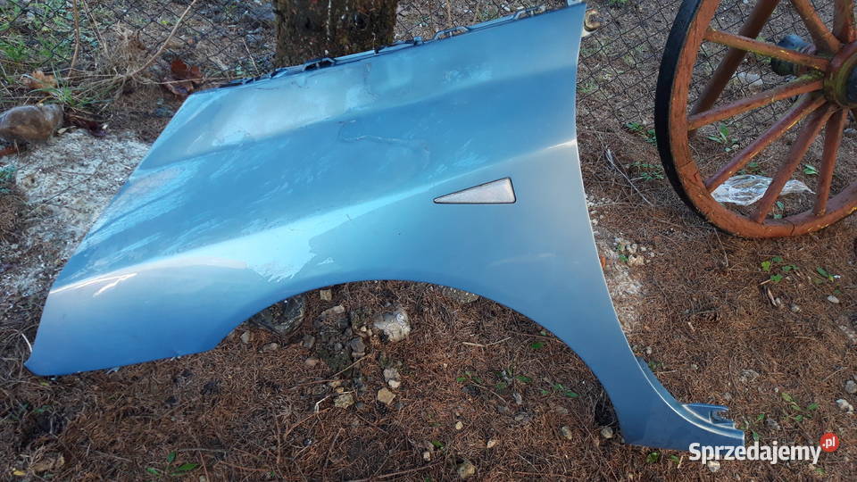 Renault espace 4 blotnik lewy przod części blacharskie podkarpackie