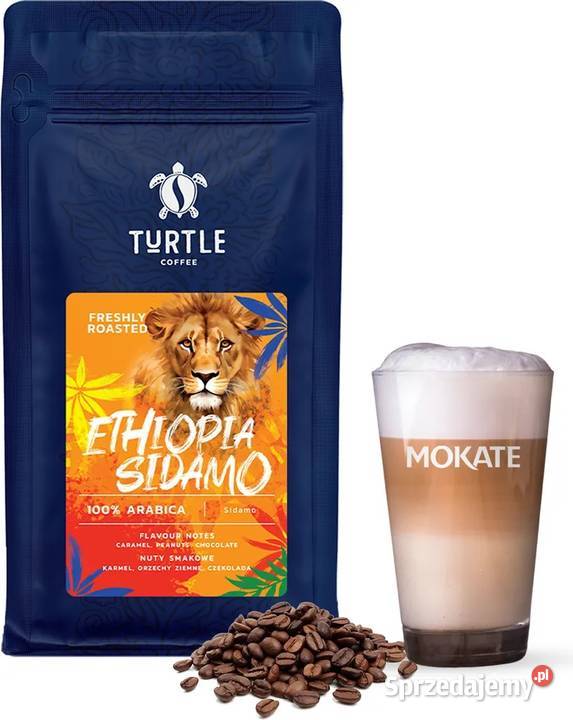 Turtle Ethiopia Sidamo 100 Arabica 1 x 2 Świdnica sprzedam