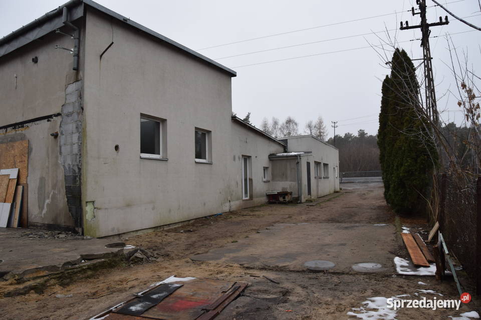 Syndyk sprzeda nieruchomość gruntową zabudowaną 3312zł/m2 Sochaczew