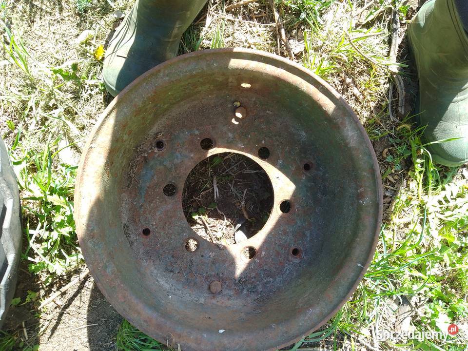 Felga polski rozrzutnik Wyszki