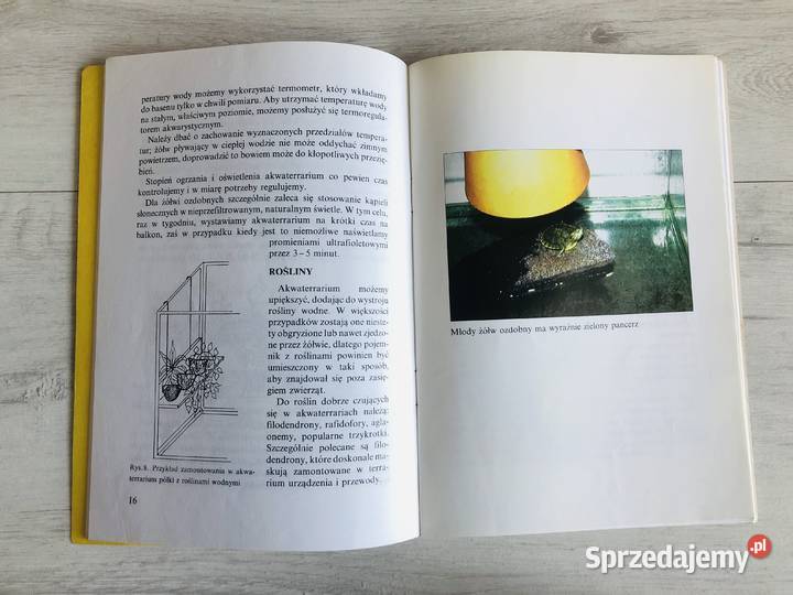 Książka Żółw ozdobny w naszym domu Beata Kisiel Łódź sprzedam