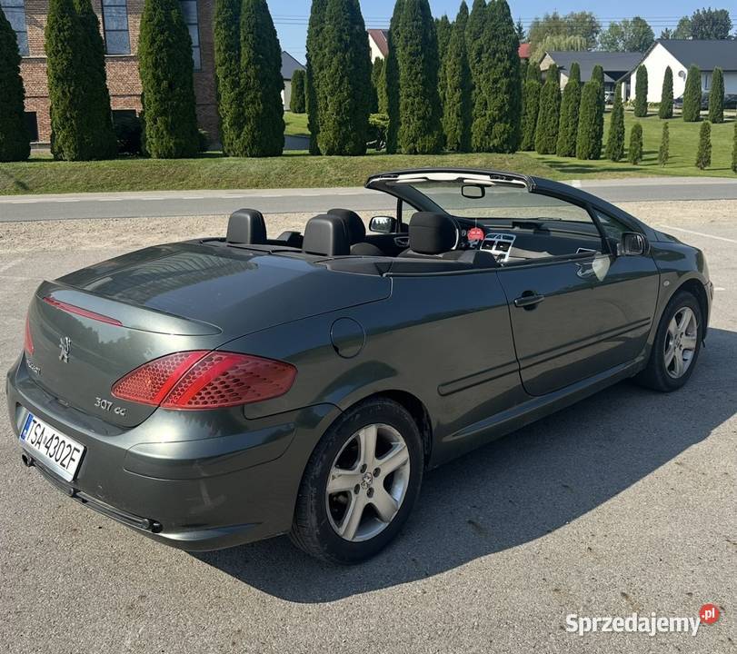 Peugeot 307 CC 20 benzyna 2004r Cabrio Pilzno