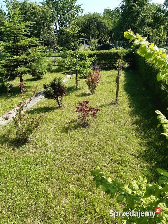 Działka ROD Kalina Zawilcowa Lublin sprzedam