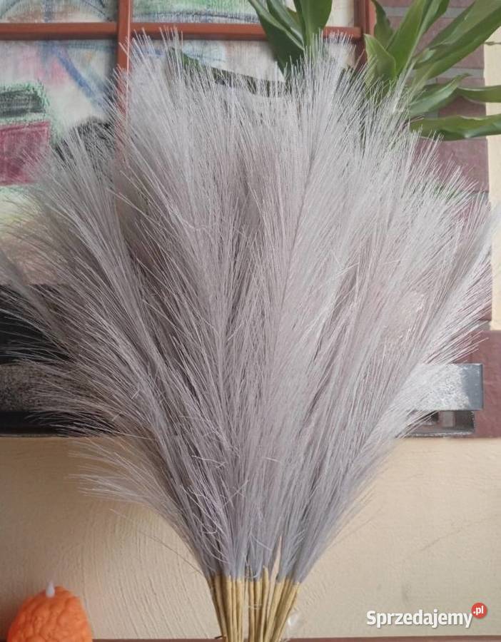 Nowa szara trawa pampasowa 40 sztuk