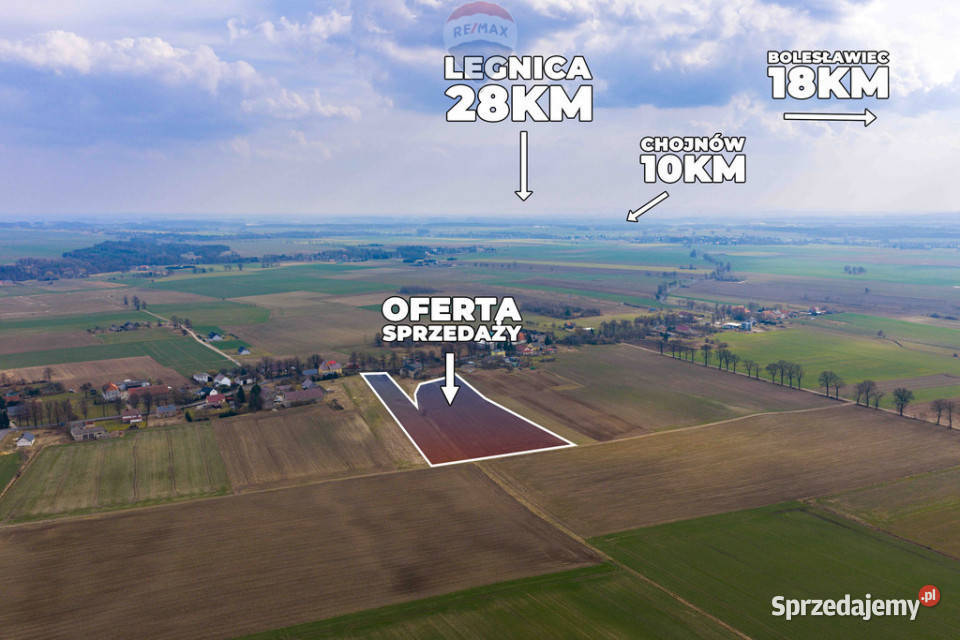 Trzy działki rolne 20100 m opcjonalnie dom 0m Sprzedaż Stary Łom