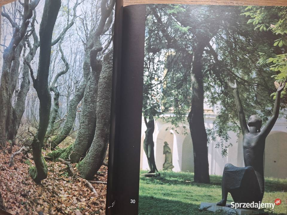 Ceskoslovensko priroda a umenie Jiri Havel Kraków