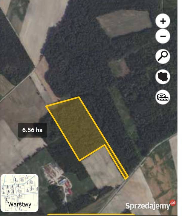 Sprzedam las 65ha Sprzedaż Krzynowłoga Mała
