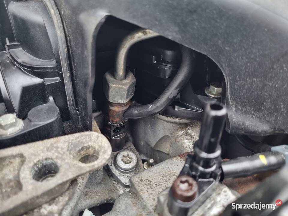 SILNIK KPL Renault Megane III 15 DCI 65 K9K834 Rudka