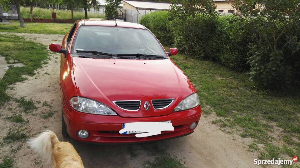 Renault Megane Coupe światła przeciwmgłowe Lipsko