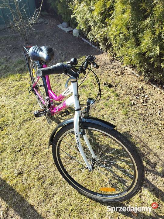 Rower Luna Lizard 26 Dopiewo sprzedam