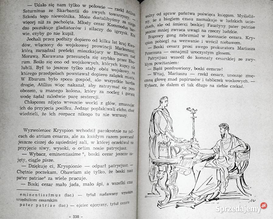 Gorące wici Janusz Teodor Dybowski Chełm