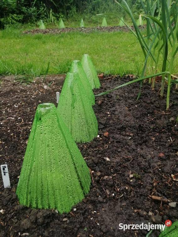 Top Flora Pokrowce roślinne do sałaty plastikowe Pozostałe