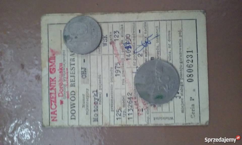 kwity wsk 125 Chełm