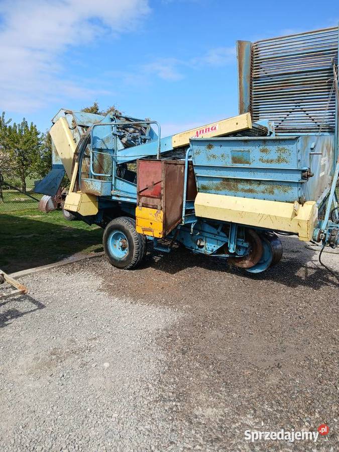 Kombajn ziemniaczany Anna Z644 stan Agromasz
