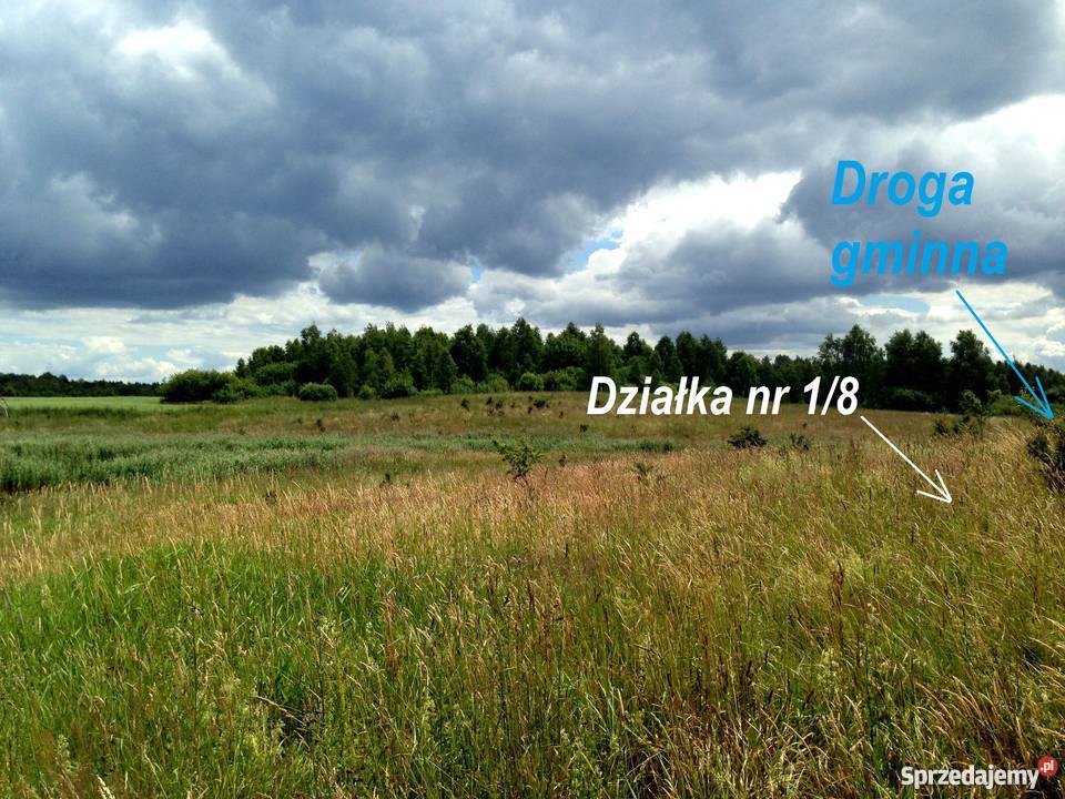 Działka na Mazurach Jeziorem Leleskim i Gromskim 3011m2 Grunty i działki Dźwiersztyny
