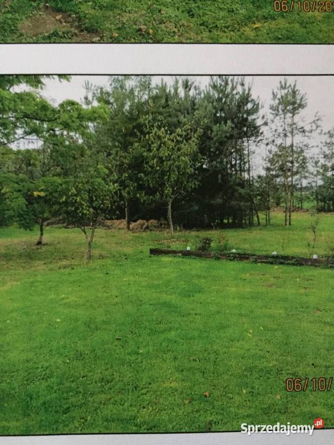 Dialka BUDOWLANA Grzawa