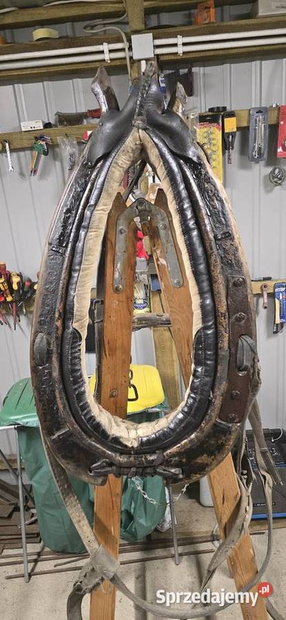 Chomonto skórzane Pajęczno