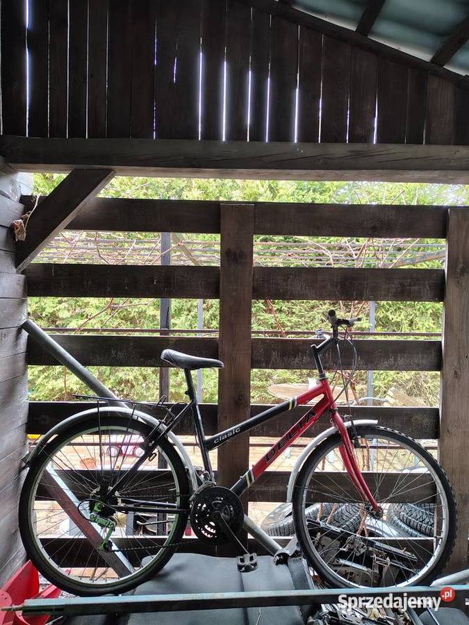 Rower damka Wasilków