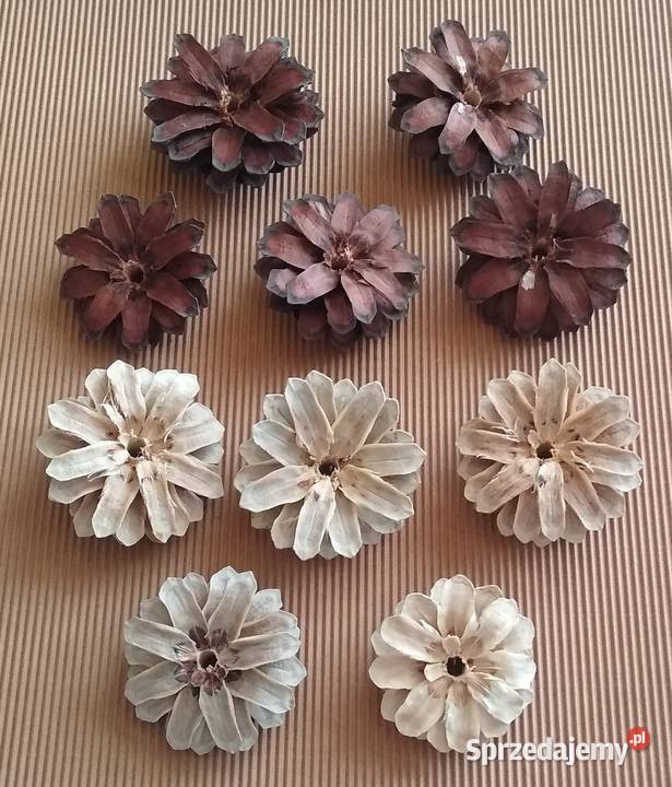 Szyszka Szyszki Kwiat Decoupage Natura Zestaw 10 Rękodzieło