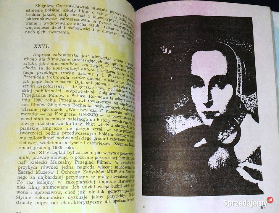 Przygody filmu ze sztuką Barbara Sęczkowska Chełm