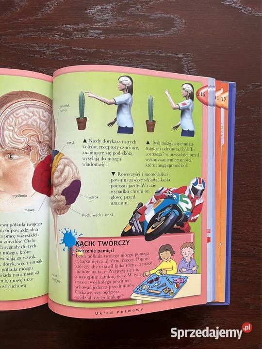 Wszystko co wiedzieć encyklopedia dzieci twarda śląskie Częstochowa