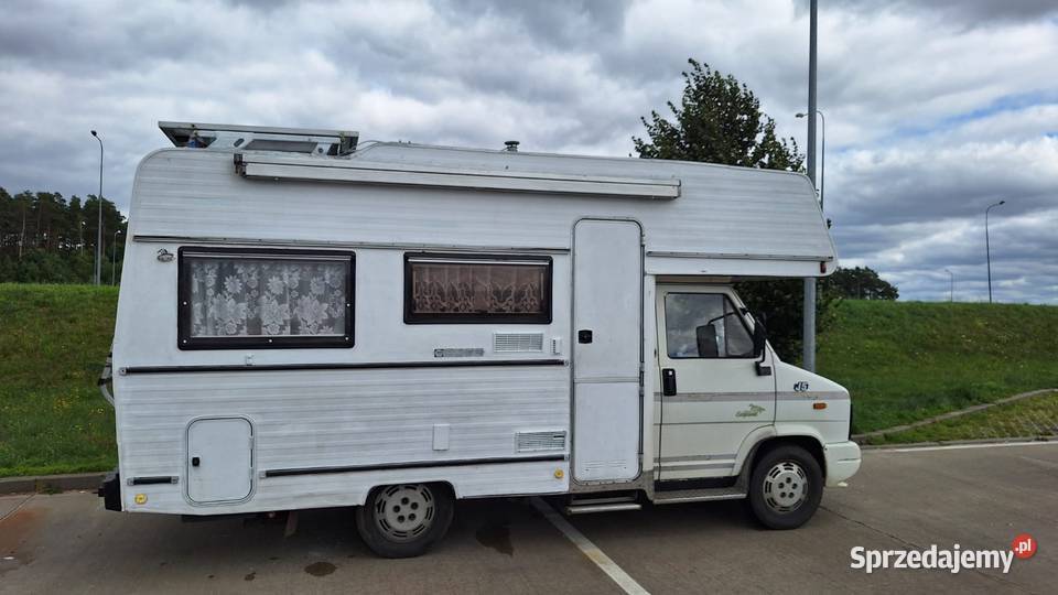 Kamper don Pedro Rok produkcji 1991 Wrocław