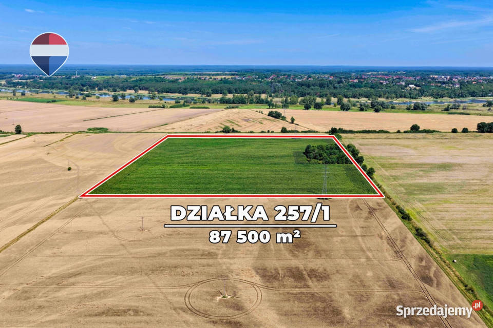 Na sprzedaż grunty orne RIIIa 875 ha