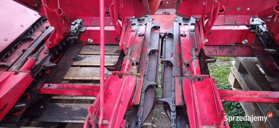 Heder do kukurydzy International 843f 4 rzędowy Parzyce