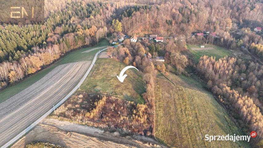 Sprzedam grunt Żarnowa 5000m2 podkarpackie sprzedam
