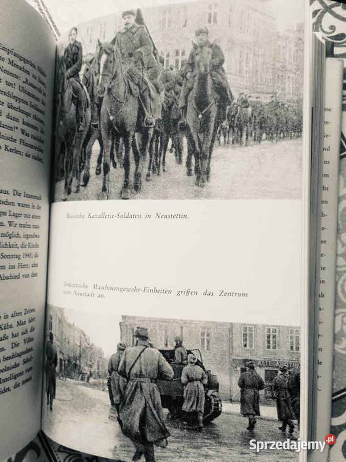 3780 Pomorska Pasja Antykwariat Szczecin