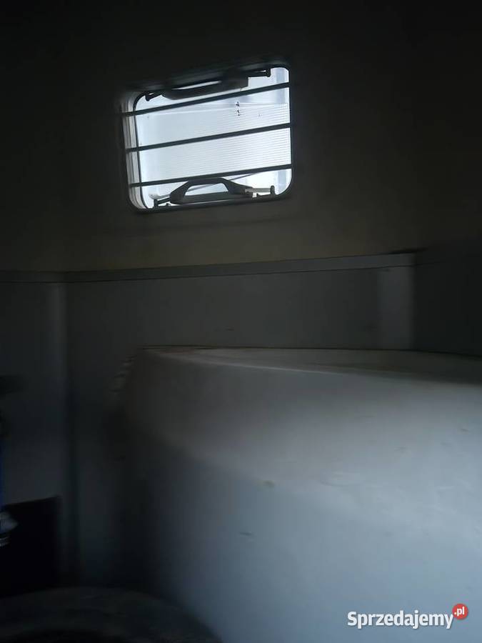 przyczepa koni rapid humbaur sprzedam