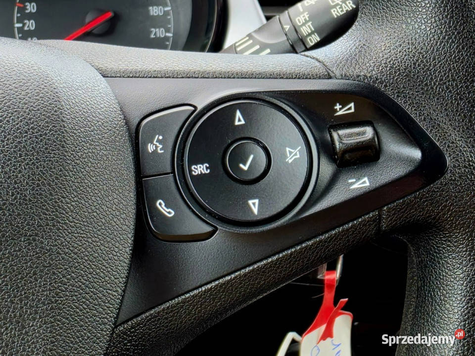 Opel Crossland X 12 PureTech 110 Iwłaściciel nieuszkodzony kujawsko-pomorskie Skępe